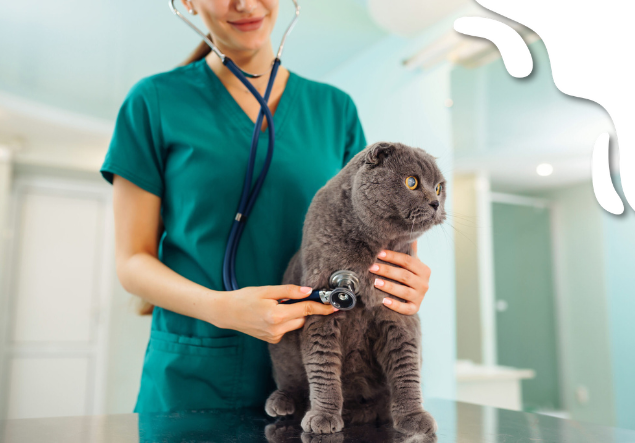 servicio medicina grl y preventiva veteriaria 9 d´octubre
