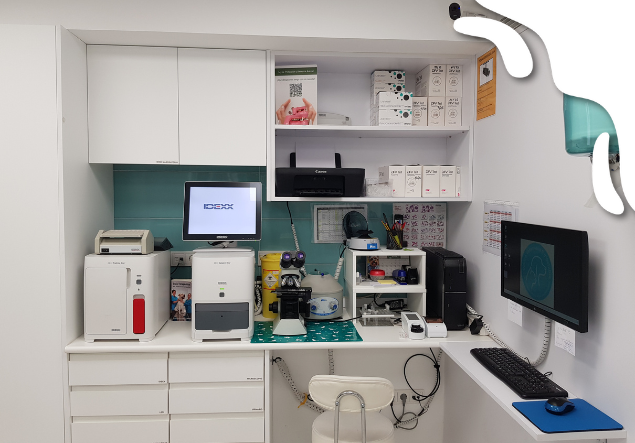 servicio laboratorio veteriaria 9 d´octubre